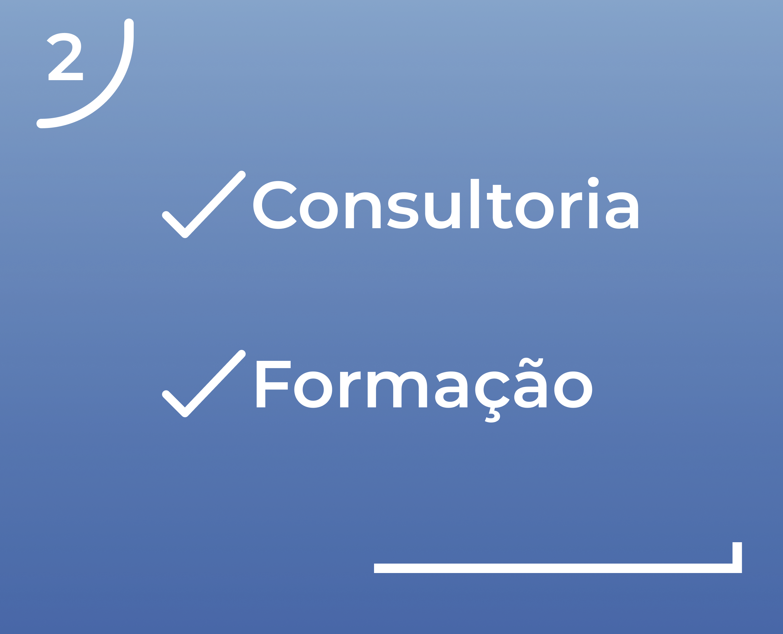 fase 2- plano de ação